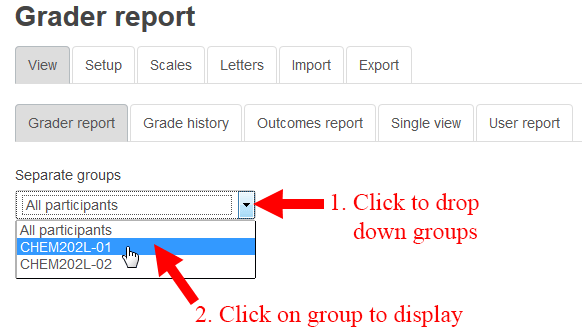 Sorting the Moodle Gradebook by Groups